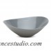 Brayden Studio Maia Melamine Pasta Bowl BRYS7064